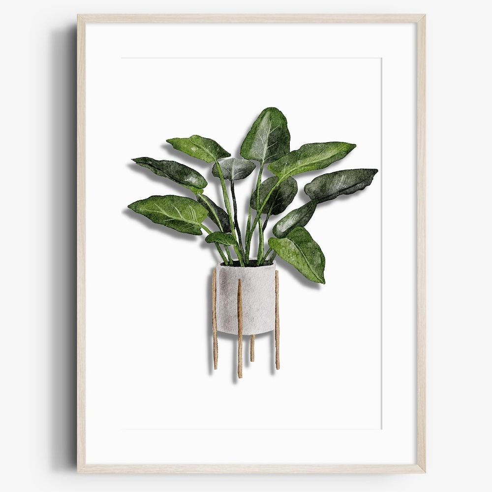 Watercolor Plants Botanical Wall Art Illustration Print Poster Unframed